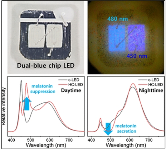 The effect of blue LED on melatonin